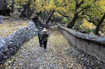 Atlas Mountains Day Trip from Marrakech