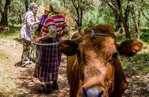 Atlas Mountains Day Trip from Marrakech