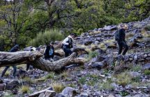 Atlas Mountains Day Trip from Marrakech
