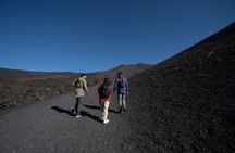 Etna Morning Tour from Catania