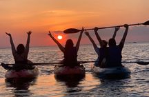 Sunset Kayaking with Dolphins