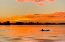 Sunset Kayaking with Dolphins
