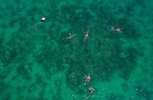 Key West Full-Day Ocean Adventure: Kayak, Snorkel, Sail