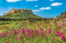 Gozo Full-Day Group Coach Tour including Lunch and Transfers