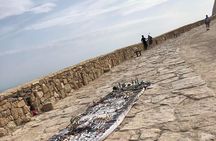 Agadir City Tour - Half Day 