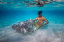 All Inclusive Cozumel: Coast & Relax 4hrs Luxury Yacht