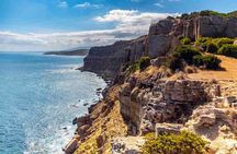 Private Excursion to the Cap Bon Peninsula
