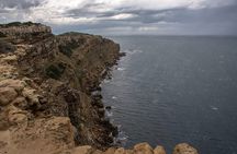 Private Excursion to the Cap Bon Peninsula