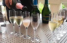 Private Valparaíso and Viña del Mar + Boat Ride + Sparkling Wine