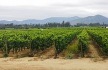 Private Helicopter Flight to winery with Sparkling Wine tasting