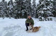 Husky Hikes Private Mountain Tours