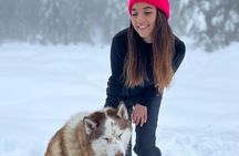 Husky Hikes Private Mountain Tours