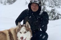 Husky Hikes Private Mountain Tours