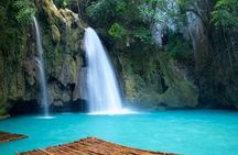 Cebu: Oslob Whale Shark Swimming & Kawasan Falls Canyoneering