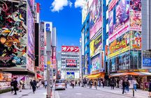 Tokyo: Exploring Anime & Electronics Tour in Akihabara