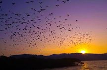 Flying Fox Island Sunset Cruise Private Boat Charter Labuan Bajo 