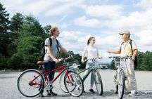 Kyoto in a Day by eBike: The Best Bits Tour (East Course)