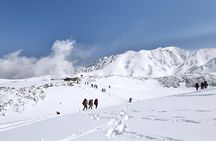 Day Tour from Kanazawa OR Toyama: Snow Wall and Mysterious Valley