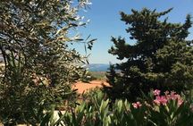 Argostoli and Beyond: A Journey through Villages