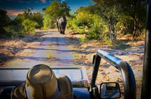 Guided 4x4 Town Safari in Victoria Falls