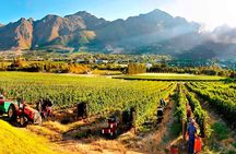 10-Day South Africa Budget Adventure: Cape Town, Joburg & Kruger 