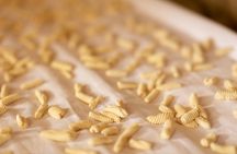 Authentic Italian Pasta Class & Lunch at Historic Tuscan Villa
