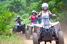 Full Day Tour Sapanca and Masukiye from Istanbul