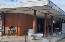 Herculaneum: Group Guided Tour with Skip The Line Ticket Included