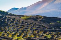 Timanfaya, Golfo, La Geria & Camel Ride (opt) - South Lanzarote
