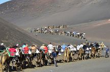 Timanfaya, Golfo, La Geria & Camel Ride (opt) - South Lanzarote