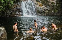 Sinharaja Rainforest Private Half Day Tour with Licensed Guide