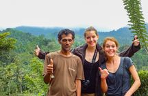 Sinharaja Rainforest Private Half Day Tour with Licensed Guide