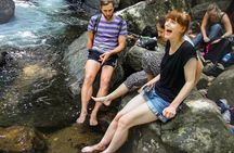 Sinharaja Rainforest Private Half Day Tour with Licensed Guide