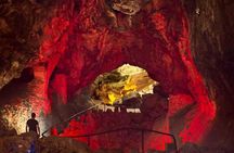 Cueva Verdes & Jameos Agua - Northern Treasures Lanzarote