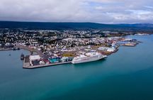 Whale Watching Tour from Akureyri City Central