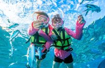 From Onna Village (Maeda Fishing Port)!Minna Island Snorkeling and Trolling Experience | Fully Chartered Boat Plan (6-hour course)