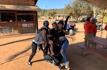 Las Canadas Zipline Canopy + Bufadora Shore Excursion