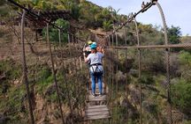 Las Canadas Zipline Canopy + Bufadora Shore Excursion