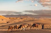 Desert Agafay Dinner Show and Camel Ride with Magical view