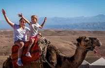 Desert Agafay Dinner Show and Camel Ride with Magical view
