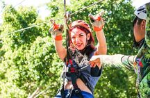 Cozumel Jungle Zip Line Adventure and Snorkeling with Lunch