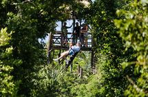 Cozumel Jungle Zip Line Adventure and Snorkeling with Lunch