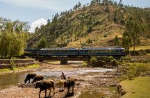 Machu Picchu Tour Full Day by Vistadome Train
