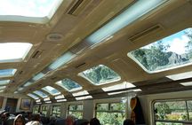 Machu Picchu Tour Full Day by Vistadome Train
