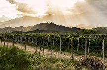 Mendoza full day Bodegas flavors of Maipú