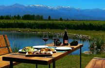 Mendoza full day Bodegas flavors of Maipú