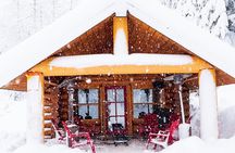 3 Hour Wilderness Adventure Tour in Whistler