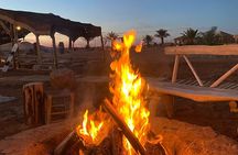 Agafay desert excursion: quad & camel & dinner