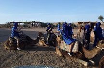 Agafay desert excursion: quad & camel & dinner