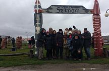 Full Day Tierra del Fuego King Penguins